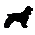Icône décorative pedigree